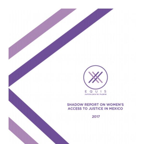 Informe sombra sobre la situación de acceso a la justicia de las mujeres en México