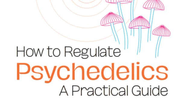 Cómo regular las sustancias psicodélicas: Guía práctica