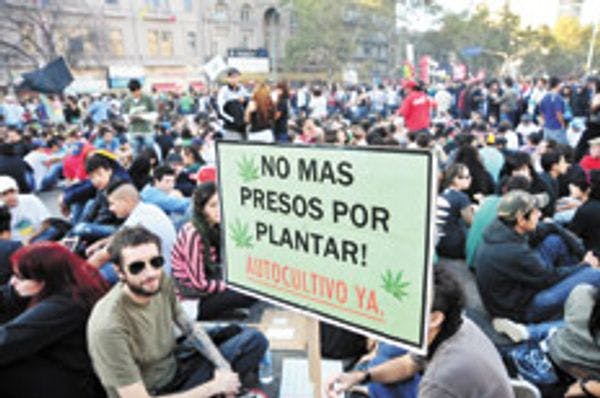 Consenso para despenalizar el consumo en Argentina
