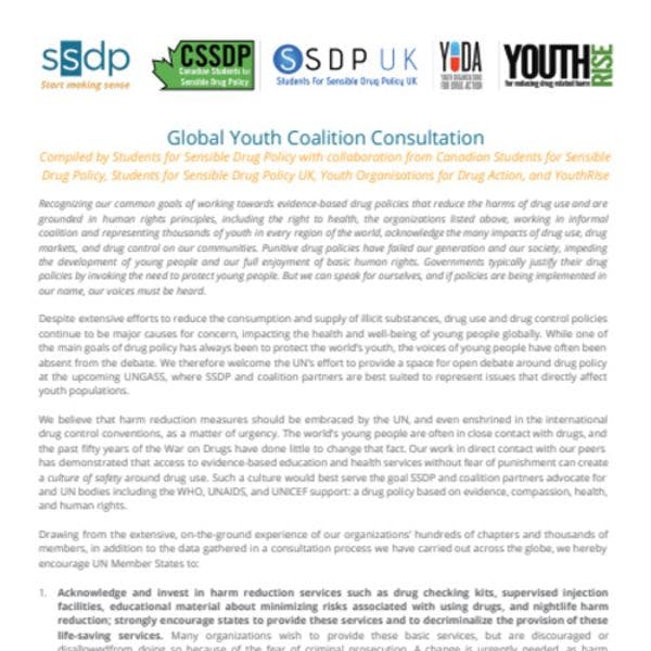 Global youth coalition consultation