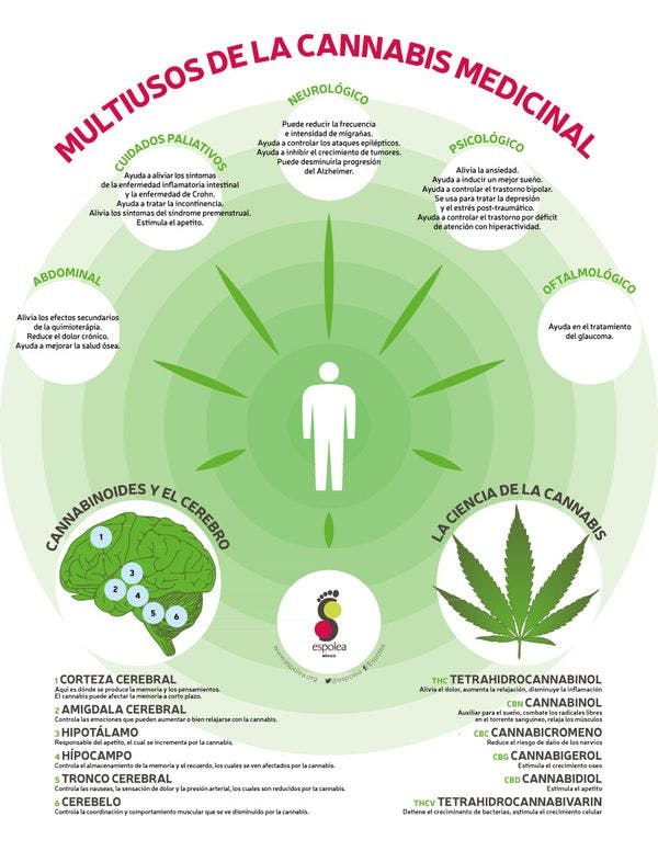 Multiusos de la cannabis medicinal