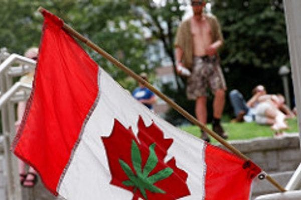 The war on drugs is dead: Canada can help lead the peace