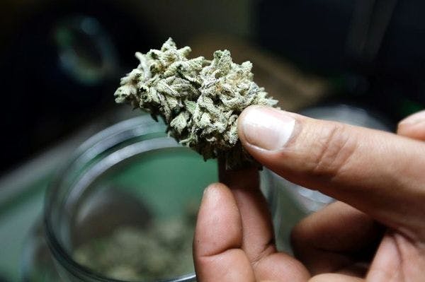 Une étude en vue de la dépénalisation du cannabis à Lausanne