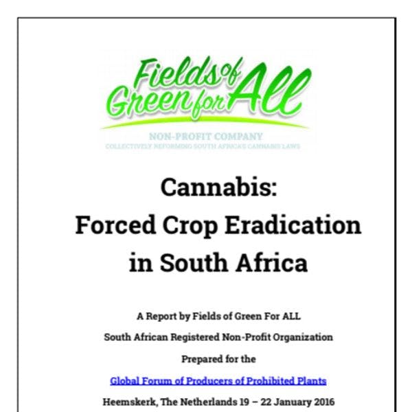 Cannabis: Forced crop eradication in South Africa