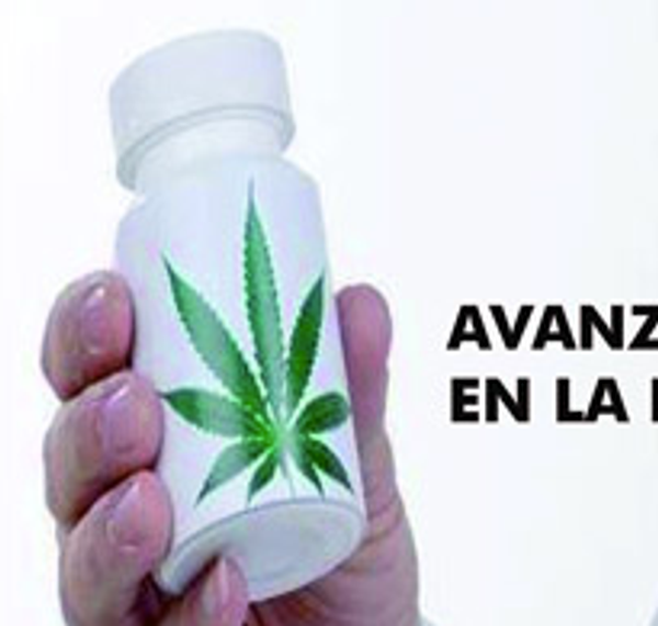 Primera Conferencia internacional de políticas de drogas en Chile