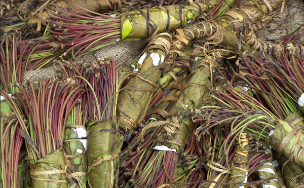 Khat: A systematic review of evidence and literature pertaining to its harms to UK users and society 