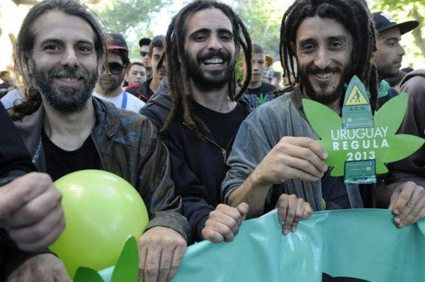 El Gobierno de Uruguay ratifica el plan de regulación de cannabis