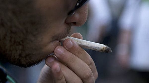 Jamaica dejará de perseguir posesión de pequeñas cantidades de marihuana