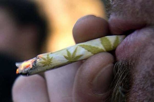 Día histórico: Senado abre debate a legalización de marihuana con fines medicinales en Colombia
