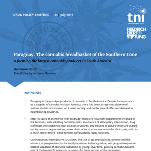 Paraguay: The cannabis breadbasket of the Southern Cone