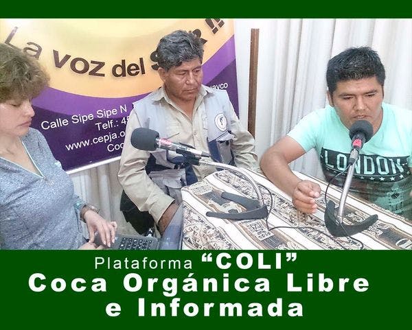 COLI: Política antidroga de Bolivia bajo la lupa