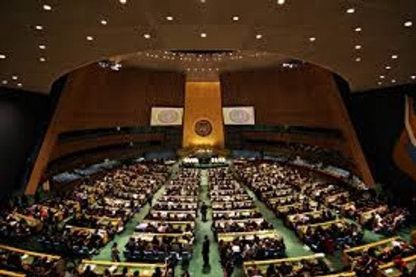Disposiciones organizativas para la Sesión Especial de la Asamblea General de la ONU sobre el problema mundial de las drogas