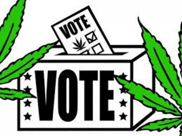 Yes to marijuana ballot measures: Alaska, Oregon and the District of Columbia should legalise pot