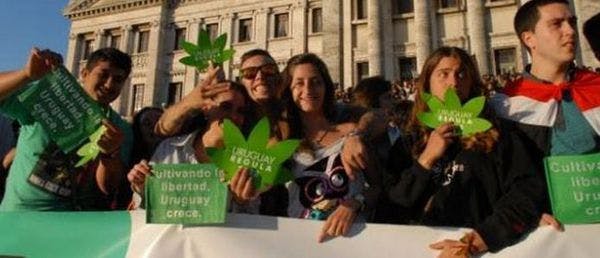 Uruguay recomienda adoptar política de regulación del mercado de la marihuana