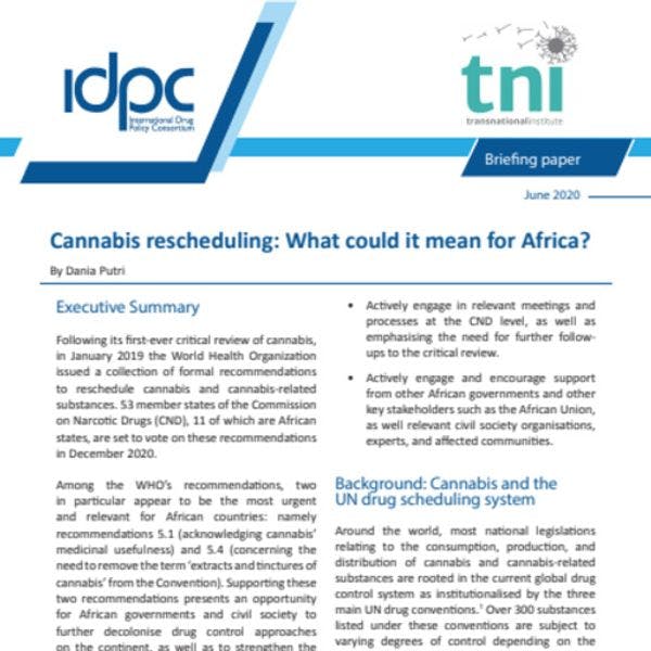 Cannabis rescheduling: What could it mean for Africa?