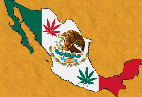 El debate de Mondragón sobre el cannabis en México