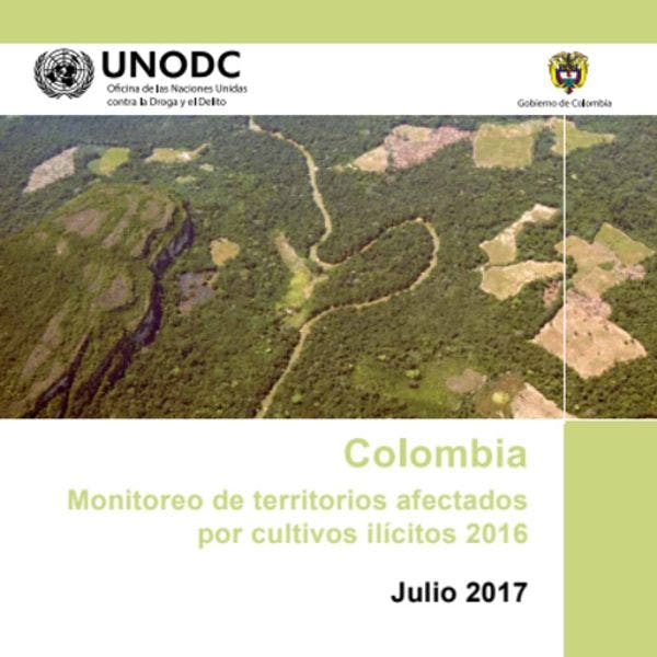 UNODC: Los cultivos de coca en Colombia aumentan en mas de un 50% en un año
