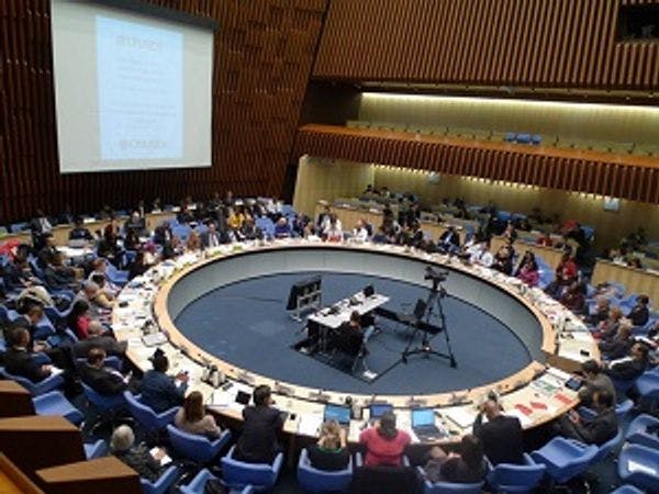 La delegación de ONG ante la Junta Coordinadora del Programa ONUSIDA busca tres delegados 