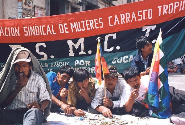 Changer la tendance: le contrôle communautaire de la coca en Bolivie
