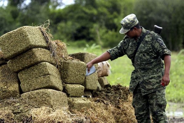 Expresidentes de América Latina alertan que la política represiva de drogas fomenta el delito