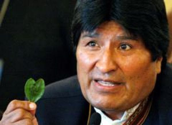 Major victory for President Morales: UN accepts "coca leaf chewing" in Bolivia