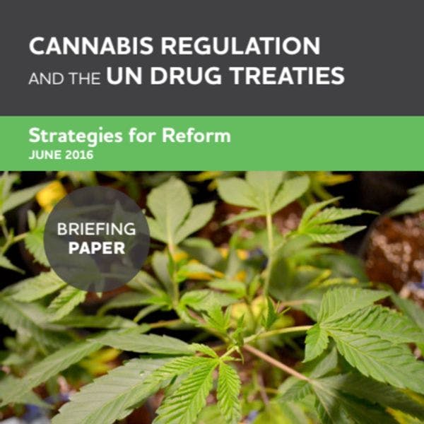 Cannabis regulation and the UN drug treaties: Strategies for reform