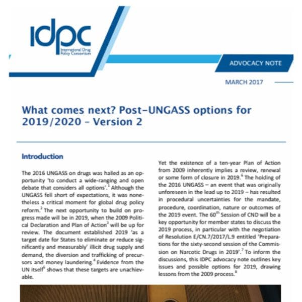 What comes next? Post-UNGASS options for 2019/2020 – Version 2