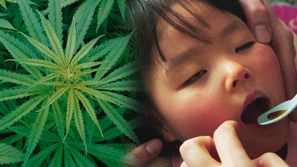 La batalla por la marihuana medicinal en Japón