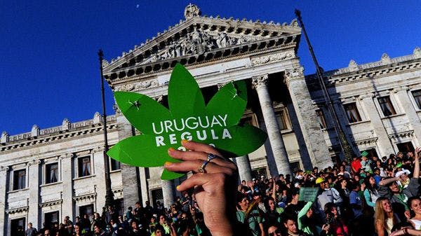 Légalisation du cannabis : l’expérience uruguayenne à Paris