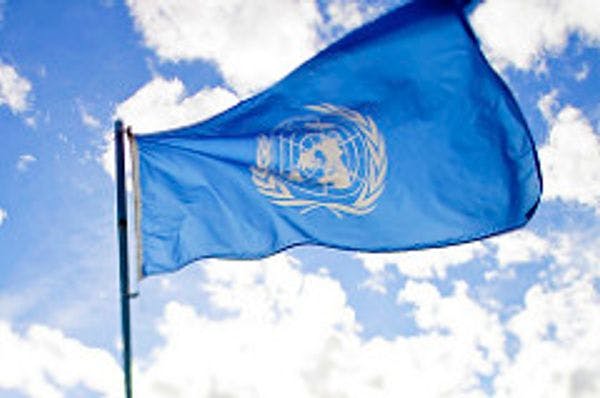 Expertos jurídicos instan a la ONU a censurar los tribunales de drogas