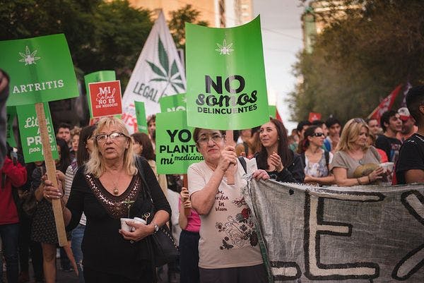 La ley de uso médico de la marihuana en Argentina cumple un año: "Retrocedimos, estamos peor que antes", aseguran familiares y usuarios