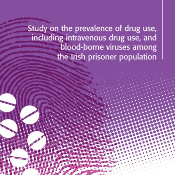 Study on the prevalence of drug use, including intravenous drug use, and blood-borne viruses among the Irish prisoner population