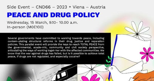 Peace and drug policy