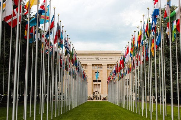In historic vote, United Nations acknowledges therapeutic potential of cannabis