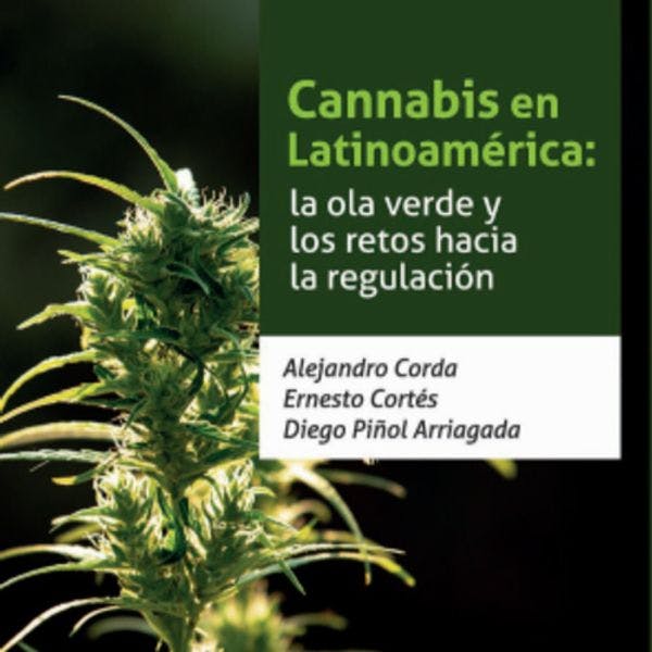 Cannabis en Latinoamérica: La ola verde y los retos hacia la regulación