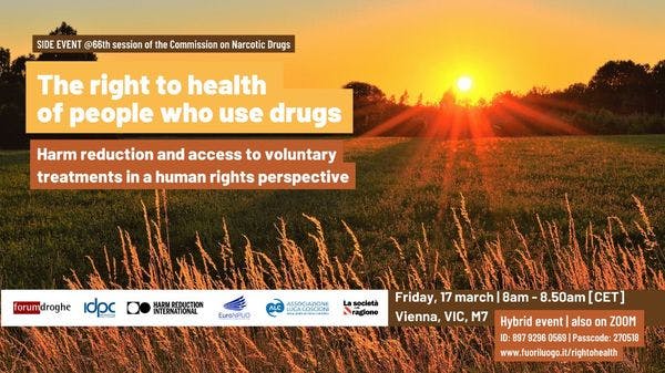 The right to health of people who use drugs: Harm reduction and access to voluntary treatments in a human rights perspective