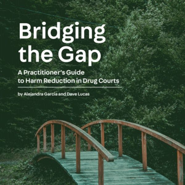 Bridging the Gap: a practitioner’s guide to harm reduction in drug courts
