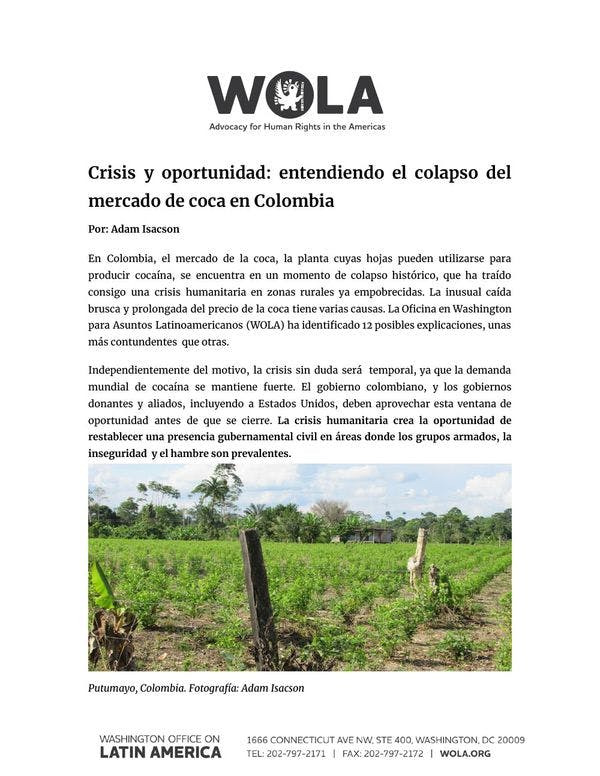 Crisis y oportunidad: entendiendo el colapso del mercado de coca en Colombia