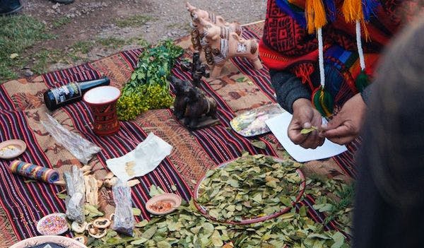 Coca chronicles: Monitoring the UN coca review - Issue #1: Bolivia challenges UN coca leaf ban