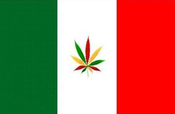 Turin votes in favour of legalising cannabis