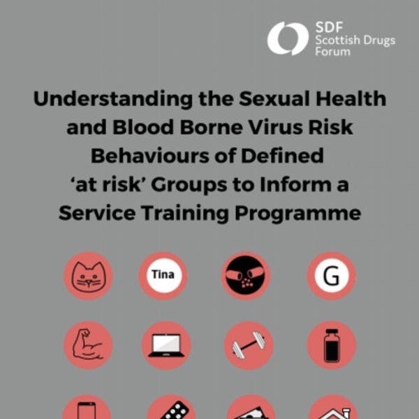 Understanding the sexual health and blood borne virus risk behaviours of defined 'at risk' groups to inform a service training programme