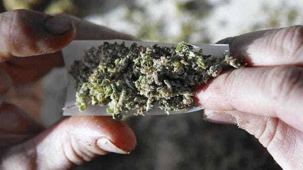 US won't stop Native Americans from growing, selling pot on their lands