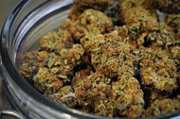 La Californie s’apprête à voter sur la légalisation de la marijuana à des fins récréatives