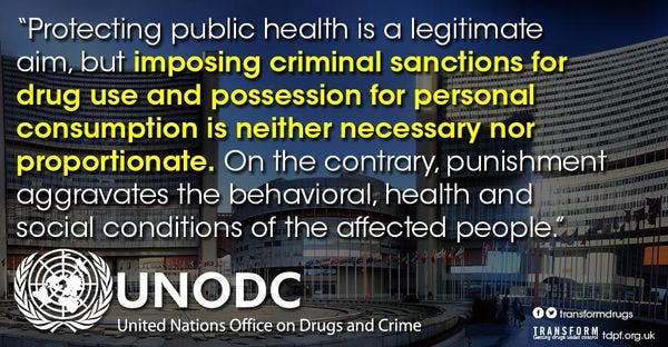 The truth behind the UNODC's leaked decriminalisation paper