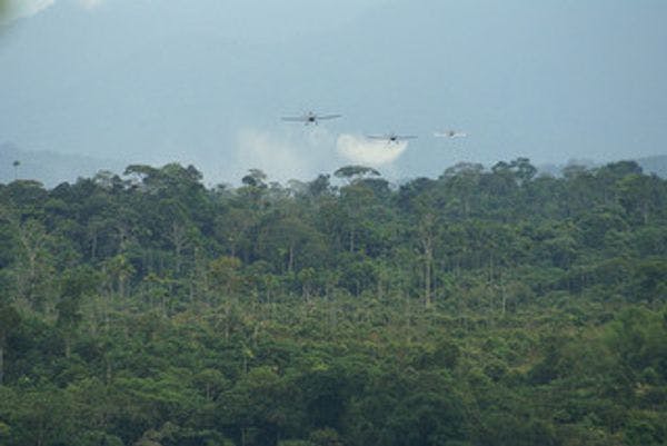 Continúan fumigaciones aéreas indiscriminadas con glifosato en Tarazá, Colombia