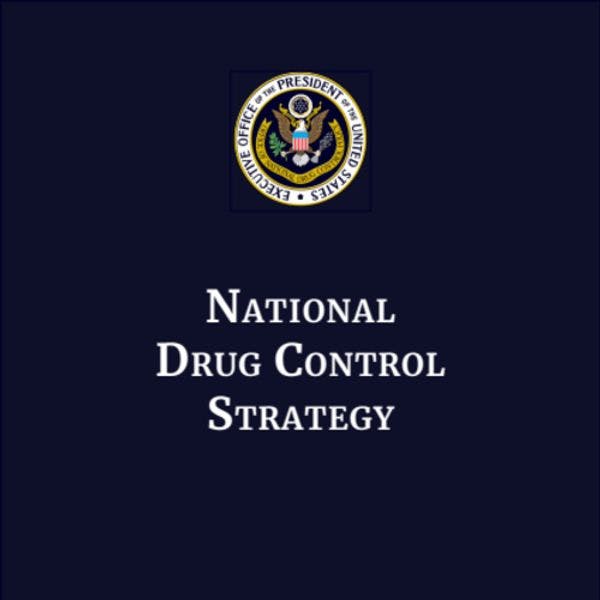United States national drug control strategy - 2019