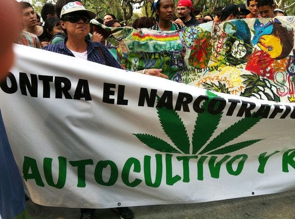 Marcha Mundial de la Marihuana, legalización en Latinoamérica con letras mayúsculas