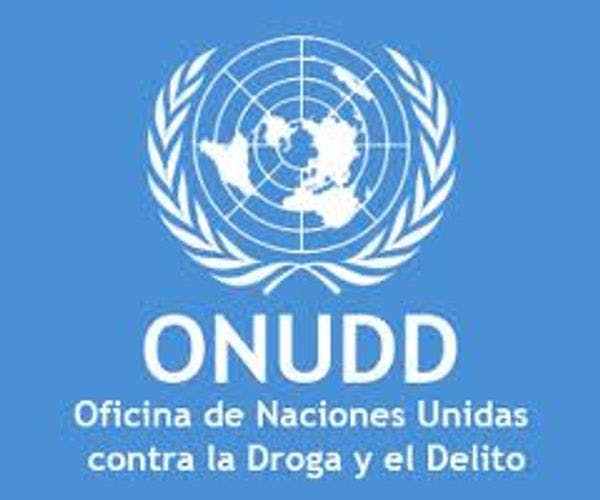 Recortes a ayuda retrasan informe de ONU sobre la coca