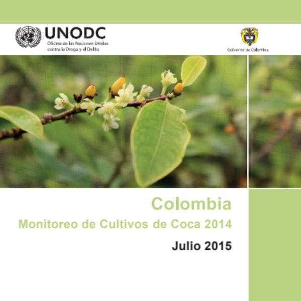 Monitoreo de cultivos de coca 2014: Colombia