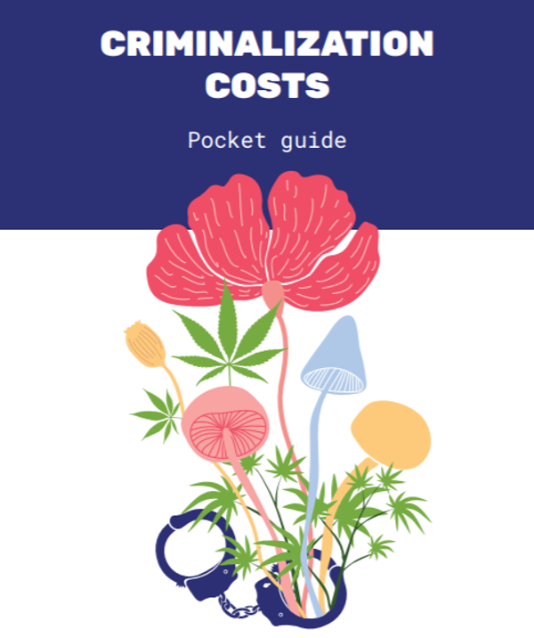 Criminalization costs in the CEECA region - A pocket guide